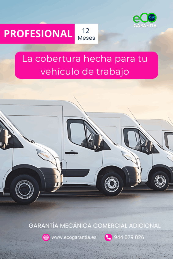 Garantía mecánica vehiculos trabajo
